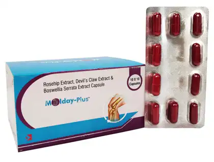 MOLDAY-PLUS official Intra Life product image