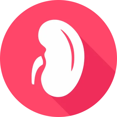 NEFROCASA (NEPHROLOGY) division logo