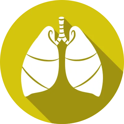 PULMOLIFE (INHALER, LIFE CAPS & RESPULES) division logo