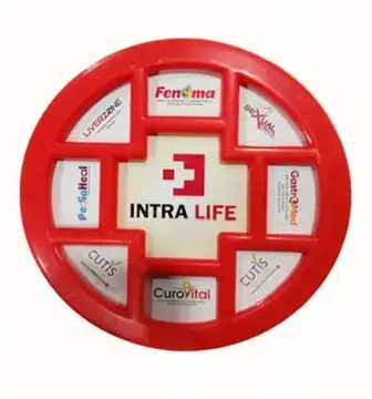 Paper Weight (Big) - Intra Life promotional gift