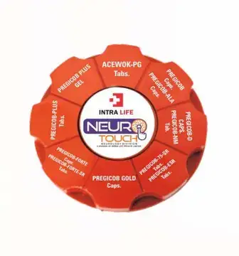 Paper Weight (Small) - Intra Life promotional gift
